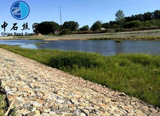 鍍高爾凡雷諾護墊